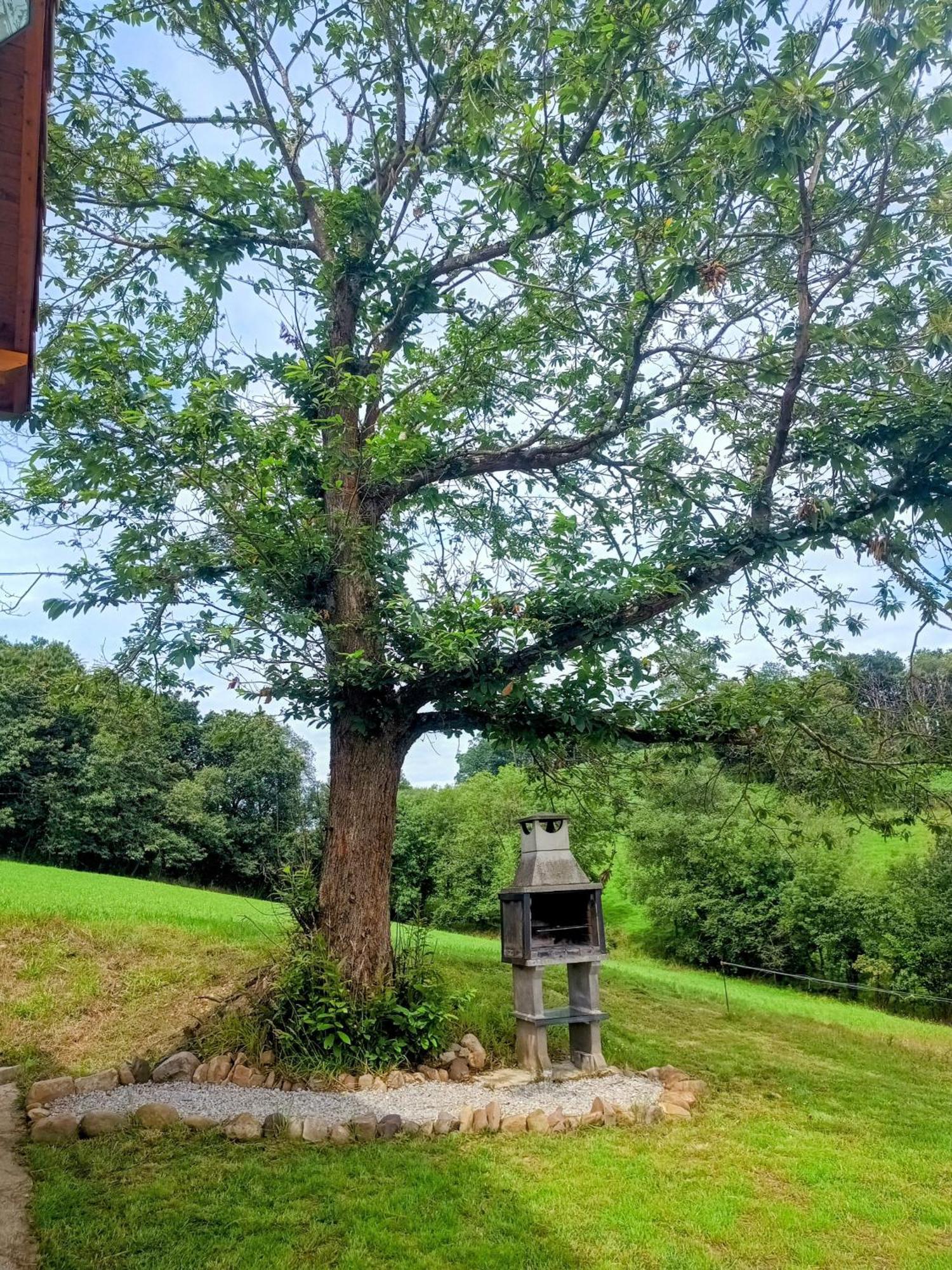 Casa Rural Tulia 그라도 외부 사진